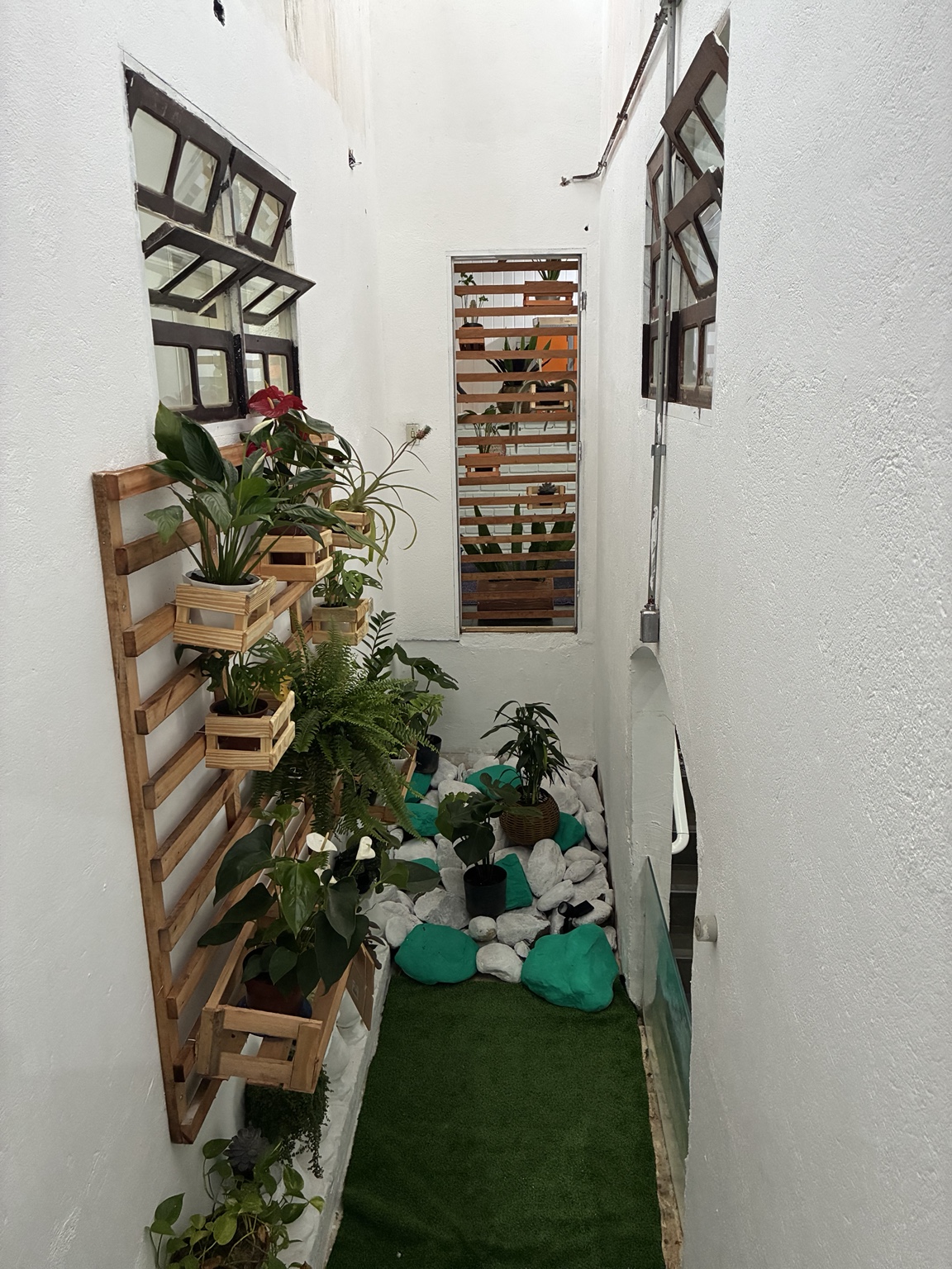 Jardim interno com plantas